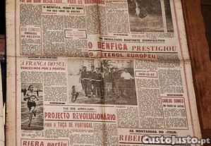imagem_3