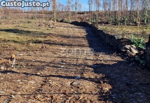 Terreno 36683 M², Frente Para A A41, Aguiar De...