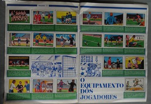 imagem_4
