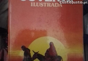 imagem_1