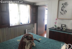 imagem_29