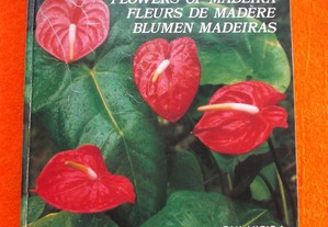Flores da Madeira - Rui Vieira