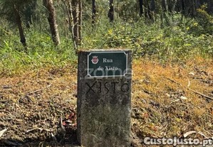 Terreno Urbano Em Jesufrei , Vila Nova De...