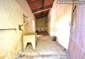 imagem_12