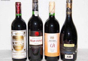 1º_ Vinhos tintos de 1996 (com 28 anos)