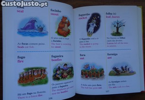 imagem_6