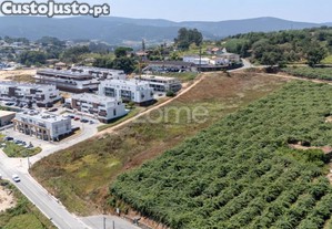 Terreno Com 10.830M² Em Sobrado - Localização...