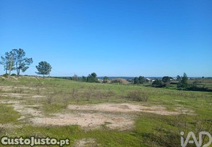 Terreno Agrícola em Almeirim