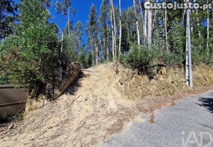 Terreno para construção em Nogueira, Meixedo e Vilar de Murteda de 2912,00 m²