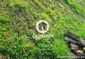 imagem_15