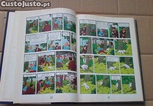 imagem_5