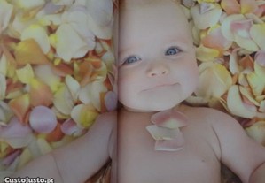imagem_6