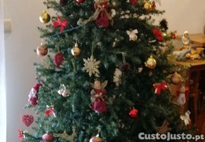 imagem_1