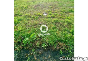 imagem_14