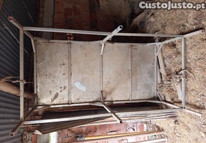 imagem_5