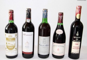 1º_ Vinhos tintos de 1995 (com 29 anos)