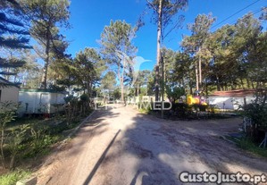 imagem_22