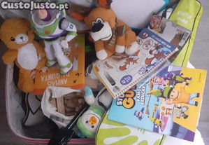 imagem_2