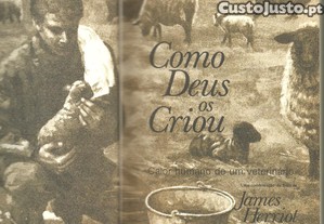 imagem_6