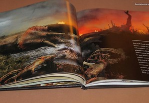 imagem_6