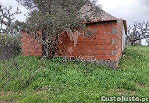 imagem_11