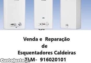 imagem_1