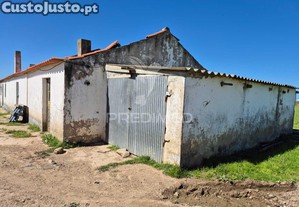 imagem_8
