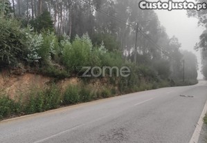 Terreno Com 5.440 M2, Em Nogueira Da Regedoura,...