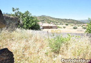 imagem_7