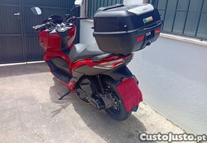 imagem_3