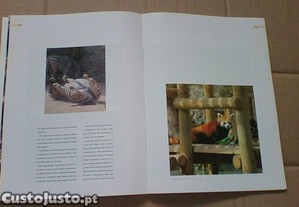 imagem_3