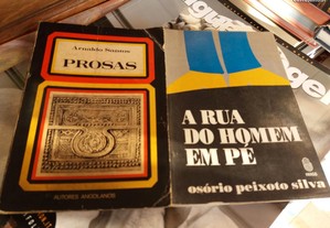 Obras de Arnaldo Santos e Osório Peixoto Silva