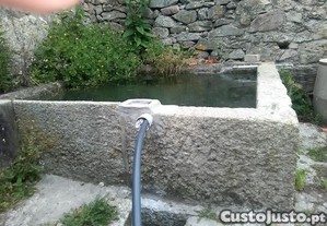imagem_11