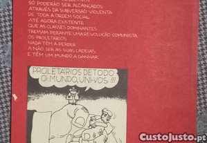 imagem_8