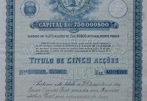 Banco Portugues e Brasileiro - acção