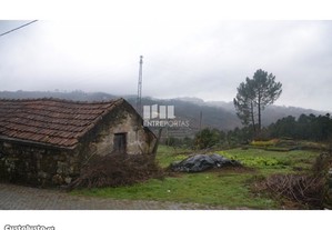 imagem_17
