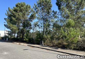 Terreno De Construção Em Balazar