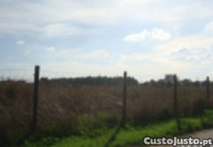 imagem_11