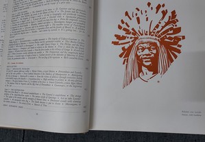 imagem_5
