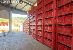 imagem_6