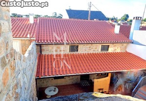 imagem_10