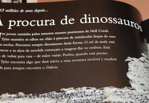 imagem_7