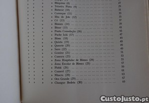 imagem_6