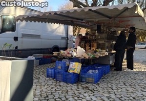 imagem_6