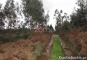 Excelente Lote De Terreno Rústico Em Fradelos,...