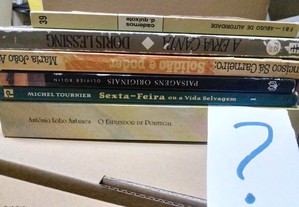 imagem_5