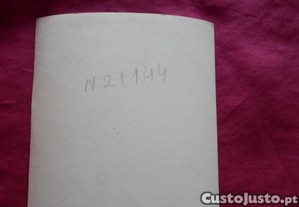 imagem_2
