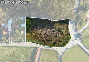 Terreno Com 4200M2 Em São Pedro De Avioso