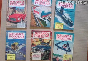 imagem_3