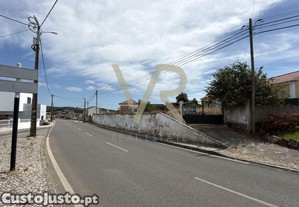 imagem_15